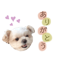 Nozomi_20220410042142