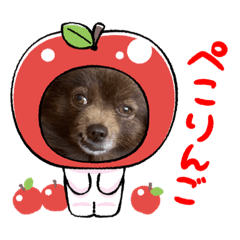 はな20220410102037