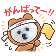 mydog.shirokuma2