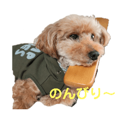 YURURA_20220410135647