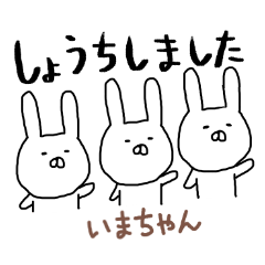 Imachan rabbit