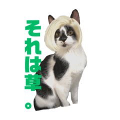 Chisa_20220410141935