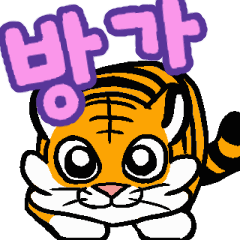 Dong-Ee the Baby Tiger