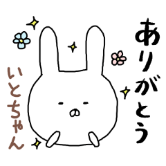 Itochan rabbit