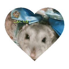 MIZUKI_20220410162132