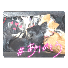 hana_20220410164751