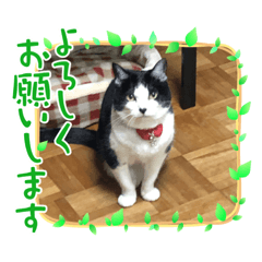 shiho_20220410164909