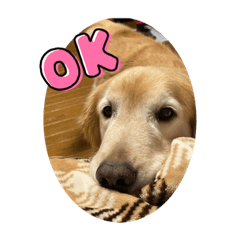 HIKARI_20220410183254