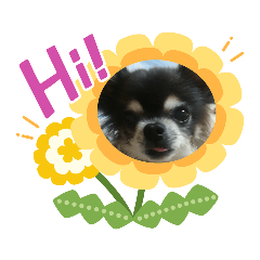 Lily29_20220410194940