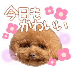 saori_20220410201236