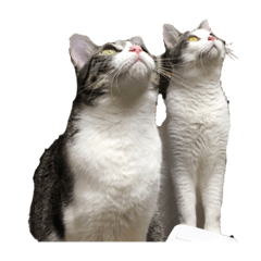 yamada_20220410204743