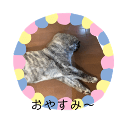 ai_20220410202504