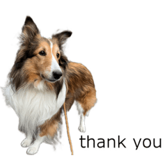 mizuki_20220410201316