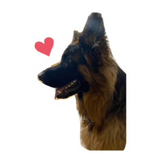 Taro's Stickers08