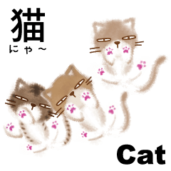 Three expressive cats