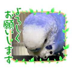 kaori_20220411224949