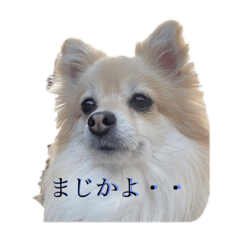 Momoko_20220411001028