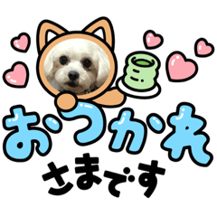 Dog stamps for business situations