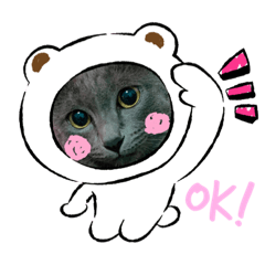 Meow family_20220410211103