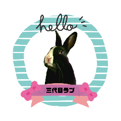 Black Bunny Love the Third Photo Sticker