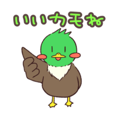 aoi_20220411002308