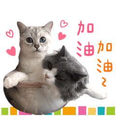 果咪路可的開心日常