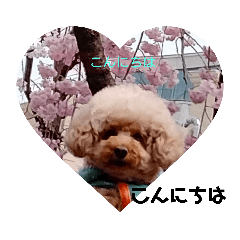 HaNa_20220411002753