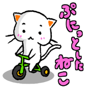 Cat puni puni
