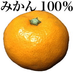 Mandarin Orange 100%