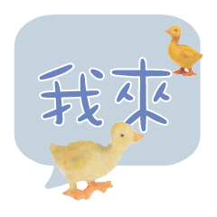 Duck Chick Bird conversation_303