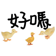Duck Chick Bird conversation_305