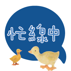 Duck Chick Bird conversation_309