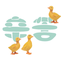 Duck Chick Bird conversation_315