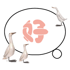 Duck Chick Bird conversation_215