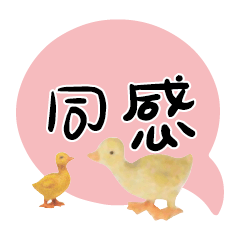 Duck Chick Bird conversation_306