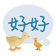 Duck Chick Bird conversation_313