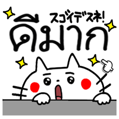 The cat which speaks Thai.