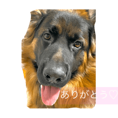 Konatsu_20220411234833