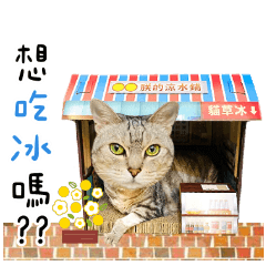 妹妹是隻貓的生活日記