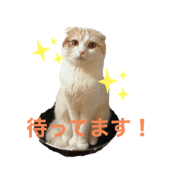 DAICHI_20220411194749