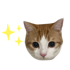 risa_20220411223408
