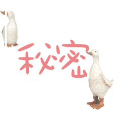 Duck Chick Bird conversation_103