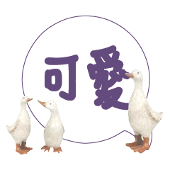 Duck Chick Bird conversation_113