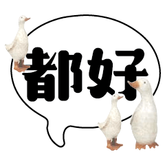 Duck Chick Bird conversation_116