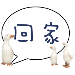 Duck Chick Bird conversation_101