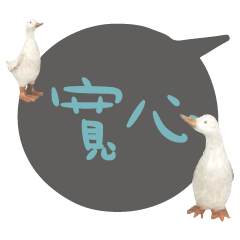 Duck Chick Bird conversation_111
