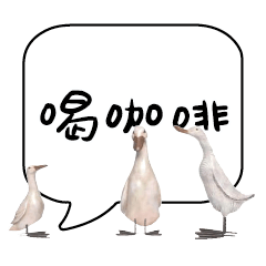 Duck Chick Bird conversation_206