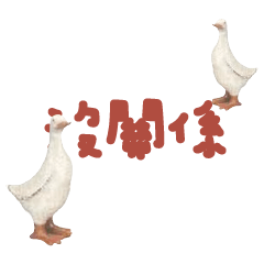Duck Chick Bird conversation_109