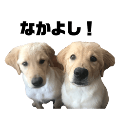 Koa & Sanshiro_20220411160347