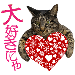 reo&Quu CAT LOVE Sticker